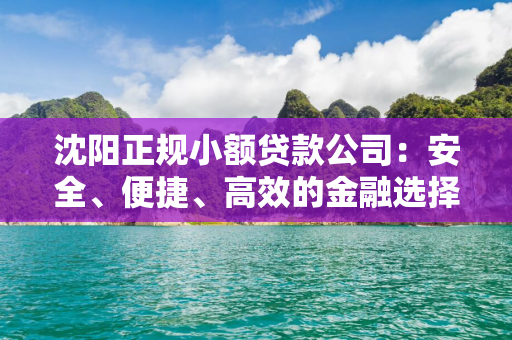 长春正规小额贷款公司：安全、便捷、高效的金融选择