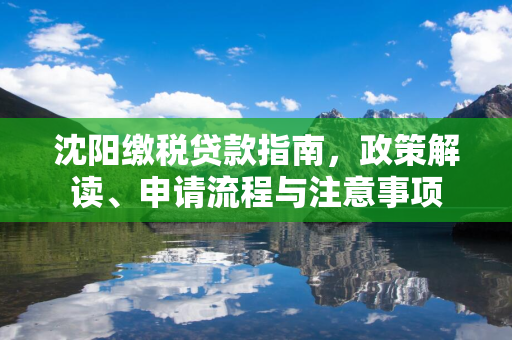  缴税贷款指南，政策解读、申请流程与注意事项